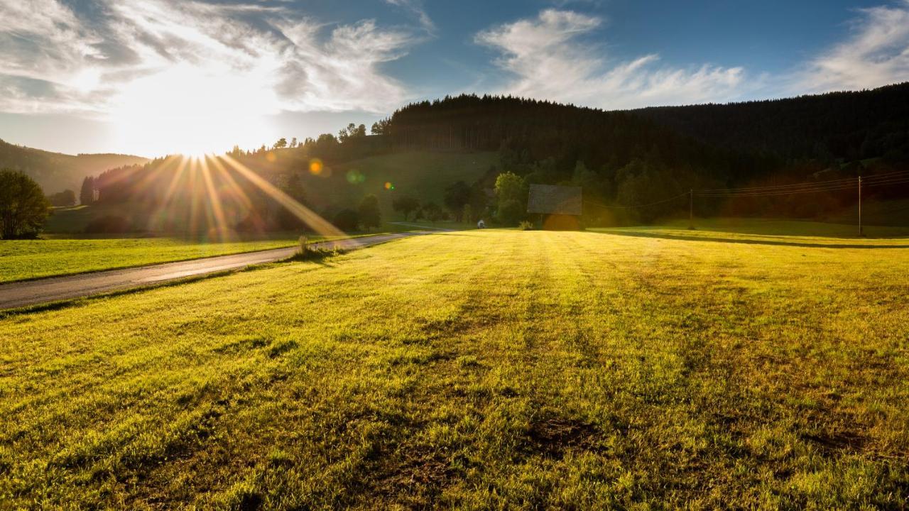 Erlebnisbauernhof Steinerhof In Kaernten Liebenfels Eksteriør billede